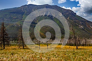 Mount Crandell Waterton Lakes National Park Alberta Canada