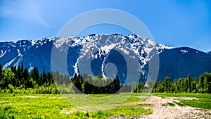 Mount Currie in the Coast Mountain Range just outside Pemberton photo