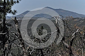 Mount Cuyamaca photo