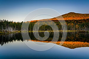 Mount Deception reflecting in a pond in White Mountain National