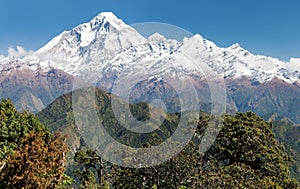 Mount Dhaulagiri - Nepal photo