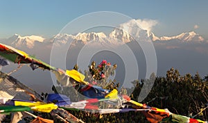 Mount Dhaulagiri with prayer flags and rhododendrons