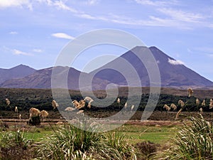 Mount Doom in New Zealand