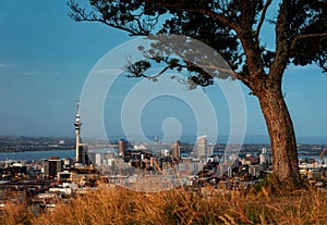 Mount Eden Auckland