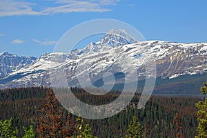 Mount Edith Cavell