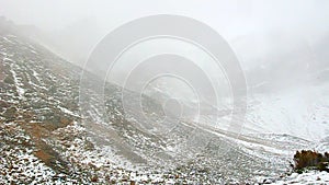 Mount Edith Cavell Snowstorm