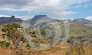 Mount Elgon National Park, Kenya