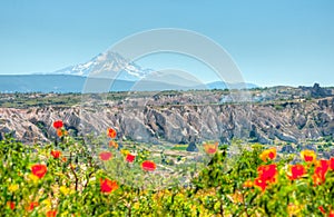 Mount Erciyes volcano in the early morning, Cappadocia