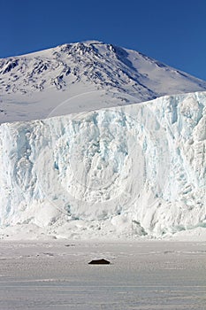 Mount Erebus and the Barnes Glacier photo