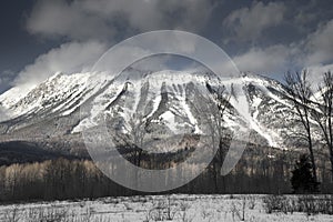 Mount Fernie photo