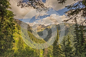 Mount Fernie Framed by Trees photo