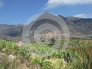 Mount and field photo