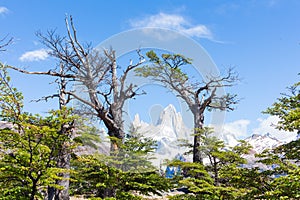 Mount Fitz Roy, El Chalten, Patagonia Argentina