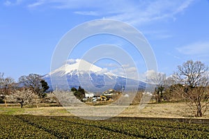 Mount Fuji