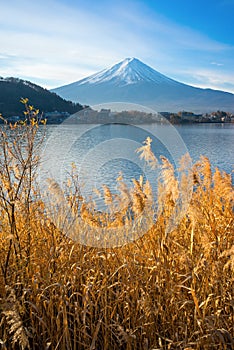 Mount Fuji