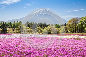 Mount Fuji