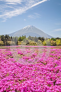 Mount Fuji