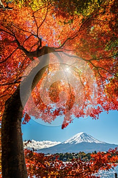 Mount Fuji in Autumn Color, Japan