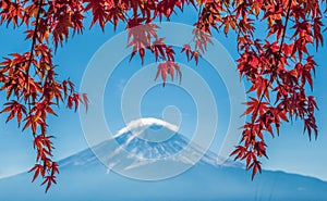 Mount Fuji and autumn maple leaves, Kawaguchiko, Japan