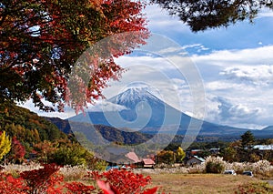 Mount Fuji with beautiful autumn leaves