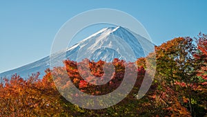 Mount Fuji with beautiful Red maple