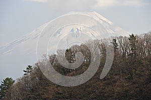 Mount Fuji behind forested ridge