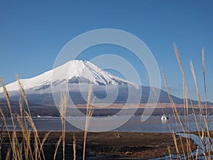 Mount Fuji and blue-sky