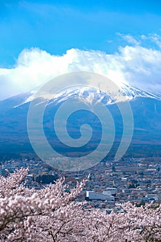 Mount Fuji, blue sky and beautiful Cherry Blossom or pink Sakura flower tree in Spring Season at Fujiyoshida, Japan. landmark and