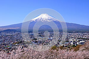 Mount Fuji and Cherry blossoms at Arakurayama Sengen Park