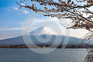 Mount Fuji and cherry blossoms in spring, Kawaguchi lake Japan