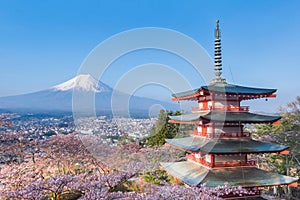 Mount Fuji and Chureito Pagoda with cherry blossom sakura in spring season