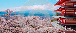 Mount Fuji with Chureito red Pagoda, blue sky and beautiful Cherry Blossom or pink Sakura flower tree in Spring Season at Fujiyosh