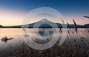 Mount Fuji at dawn with peaceful lake