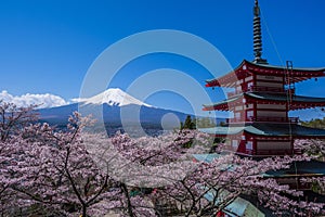 Mount Fuji,a five-storied pagoda and Cherry trees