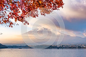 Mount Fuji through fog with red Maple cover in sunrise morning