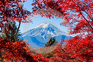 Mount Fuji framed with red maple leaves beautifully in autumn