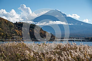 Mount Fuji at Lake Kawaguchi, Japan