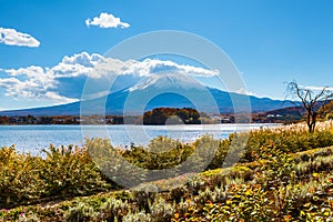 Mount Fuji from lake Kawaguchiko