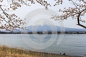 Mount fuji at Lake kawaguchiko.