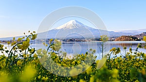 Mount fuji at Lake kawaguchiko.