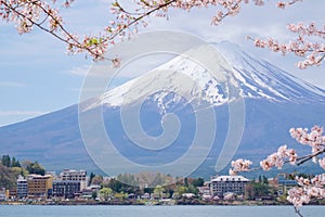 Mount Fuji from lake Kawaguchiko with cherry blossom in Yamanashi, Japan