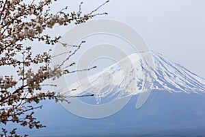 Mount fuji at Lake kawaguchiko in the morning.