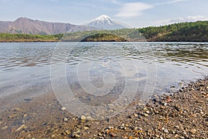 Mount Fuji from lake Saiko in spring