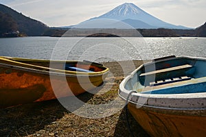 Mount Fuji and Lake Shoji