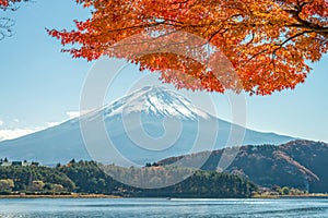 Mount Fuji with maple tree