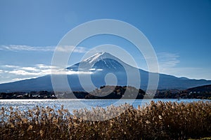 Mount Fuji at noon by Kawaguchiko lake