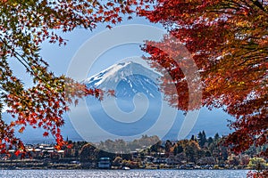 Mount Fuji at noon by Kawaguchiko lake with maple leaves