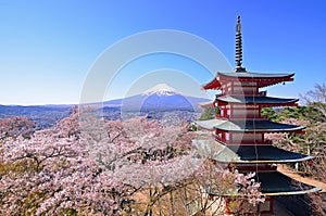 Mount Fuji and pagoda with cherry blossoms in Arakurayama Sengen Park