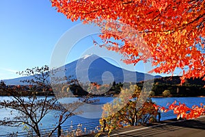 Mount Fuji with sakura autumn leaves photo