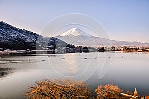 Mount fuji san at Lake kawaguchiko in japan.